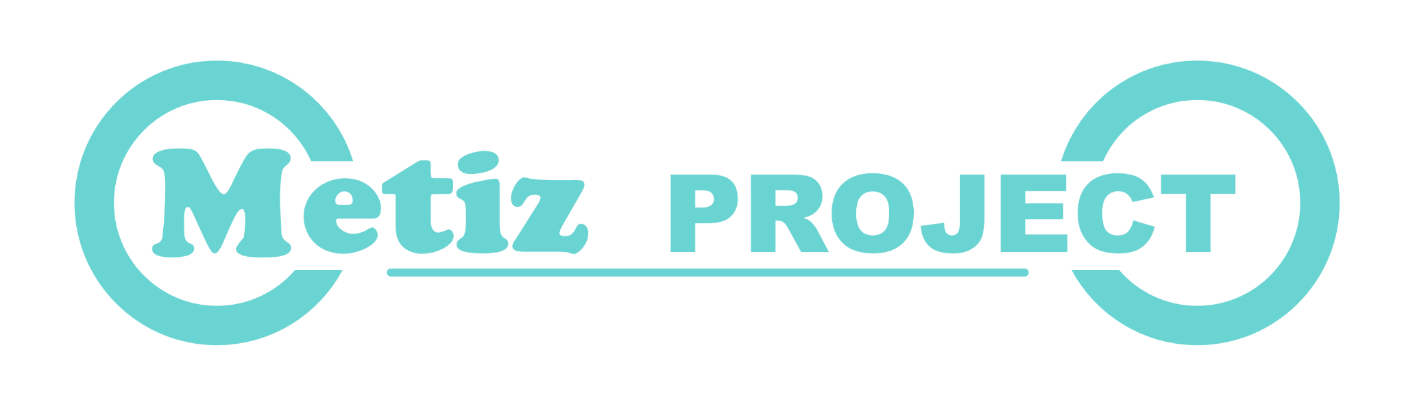 METIZ PROJECT